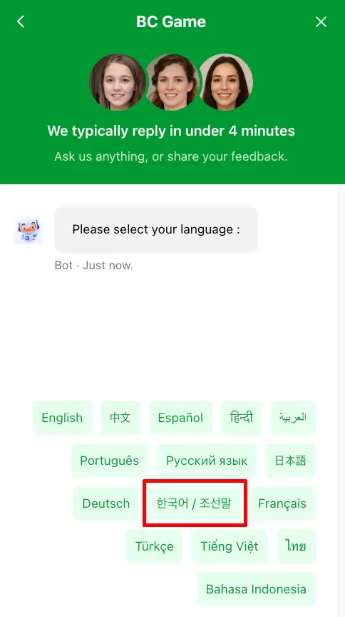 BC게임의 라이브 채팅 이용방법 설명
