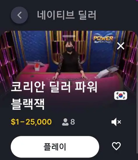 한국인 딜러 파워 블랙잭 설명