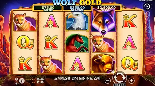 환수율이 좋은 울프골드 소개