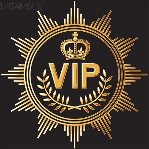 Stake VIP 등급 올리는 방법