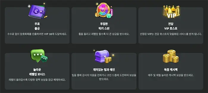 BC게임 VIP 프로그램 혜택