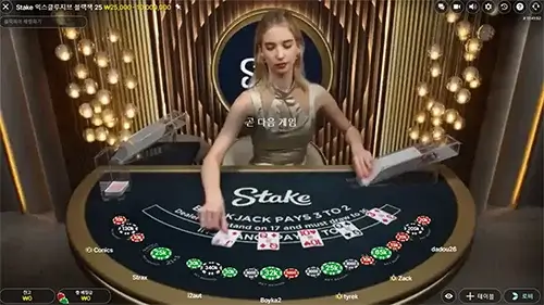 블랙잭 사이트 - Stake 엑스클루시브 블랙잭 게임